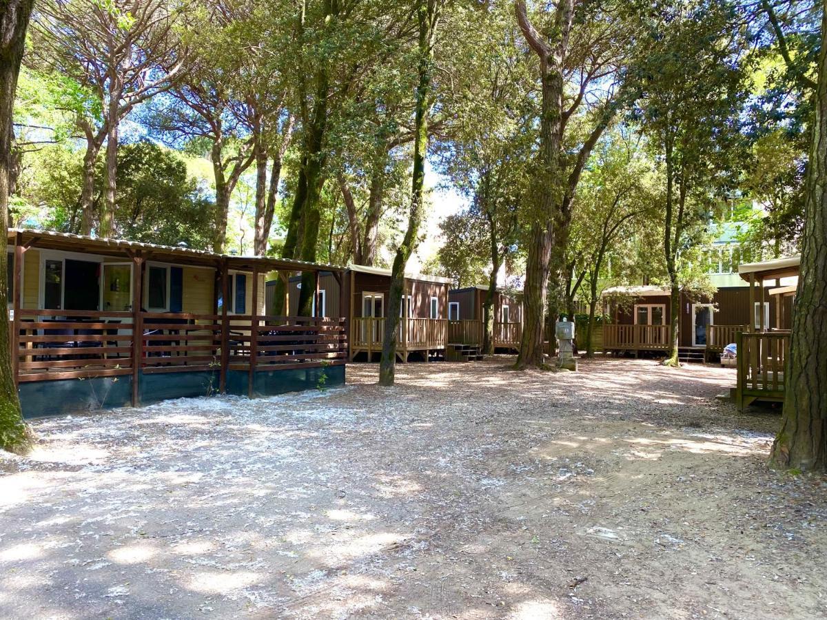 Dena Chalets - Lido Di Spina At The Beach Bagian luar foto